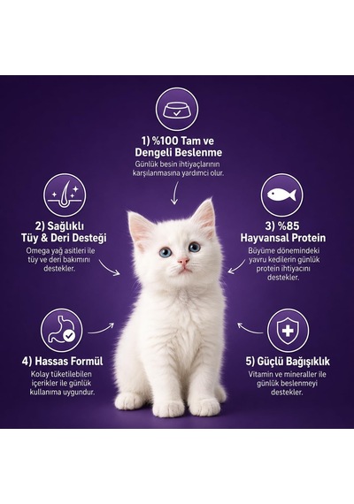 Yavru Kedi Maması 1 Kg - Balıklı Kedi Maması -%85 Hayvansal Protein - 4'ü 1 Arada - 0-12 Ay Yavru Kediler İçin