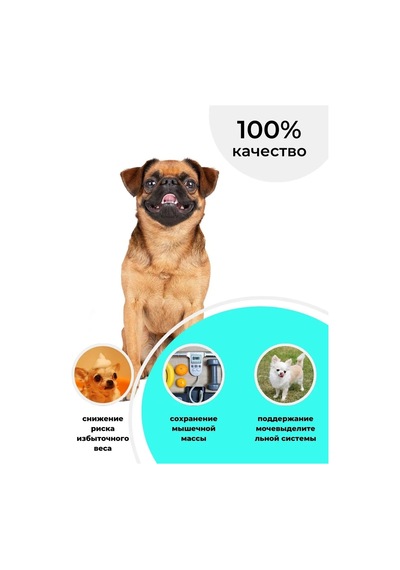 Royal Canin Sterilised Adult Yaş Köpek Maması 12x85 Gr 289261562