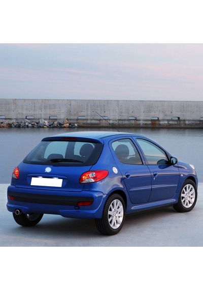 Vass41 Peugeot 206+ Plus 2009-12 Arka Bagaj Amortisörü Pistonu 51023704