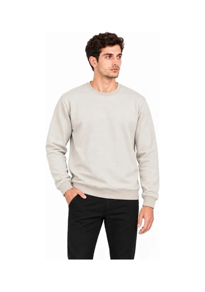 Erkek Bisiklet Yaka İçi Şardonlu 2 İplik Düz Uzun Kollu Regular Fit Sweatshirt - Gri