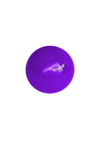 Cwa-940 Pilates Ağırlık Topu Pilates Toning Ball Denge Ve Ağırlık