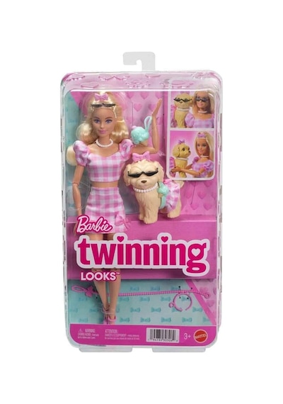 Barbie Uyumlu Dostlar - Fiyonk Teması