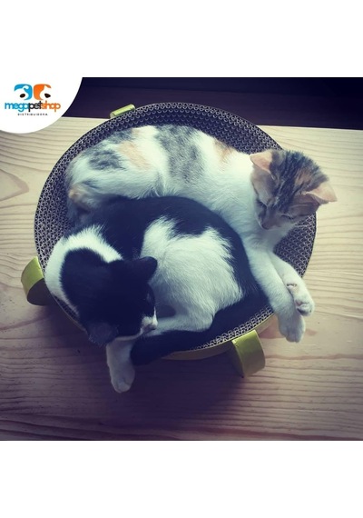 Yuvarlak Karton Kedi Tırmalama Oyuncağı