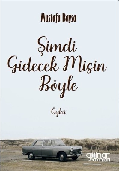 Şimdi Gidecek misin Böyle - Mustafa Baysa - Gülnar Yayınları
