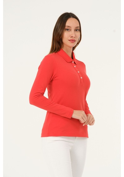 Msw Kadın Uzun Kollu Regular Fit Polo Yaka T-shirt Yavru Ağzı Msw Kadın Uzun Kollu Regular Fit Polo Yaka T-shirt Yavru Ağzı
