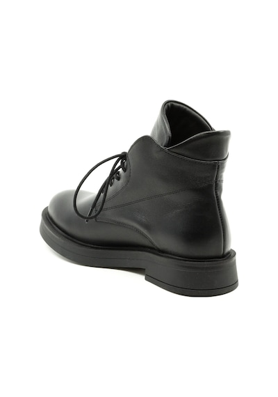 Dexter Tp7402-61 Renkli