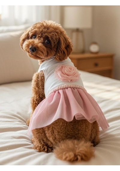 Rosie Pink Tütü Köpek Kıyafeti Pembetütülü Elbise Küçük Irk Köpekler İçin