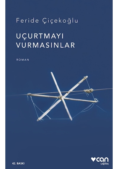 Uçurtmayı Vurmasınlar - Feride Çiçekoğlu - Can Yayınları