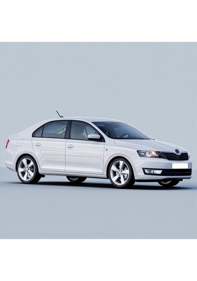 Skoda Rapid 2012-2016 1.6tdi Motor Fren Servo Borusu 6r0612041b