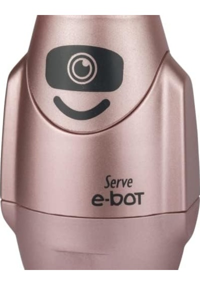 Sılgılı Kalemtıras Metalık Roze 4lu Set