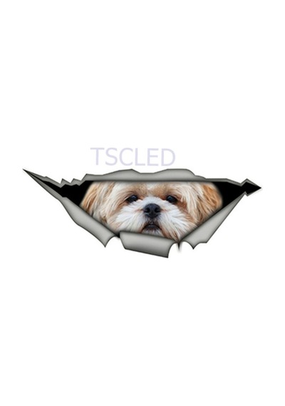 Shih Tzu Cinsi Sevimli Köpek Araba Sticker Yapıştırması
