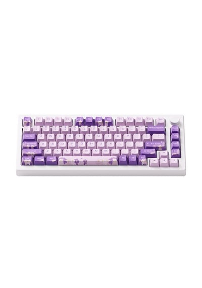 Akko MOD 007 HE PC Purple Melody Hall Effect Cream Yellow Magnetic Switch RGB Mekanik Oyuncu Klavye