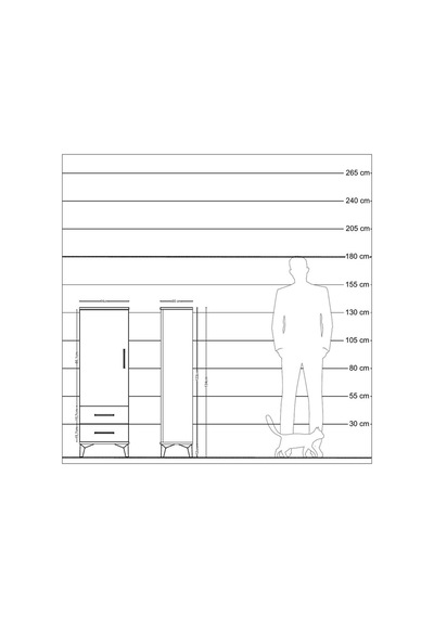Arges Dolap Tek Raflı Tek Kapaklı Tek Askılı 44x30x134 Çam-aytaşı Aytası