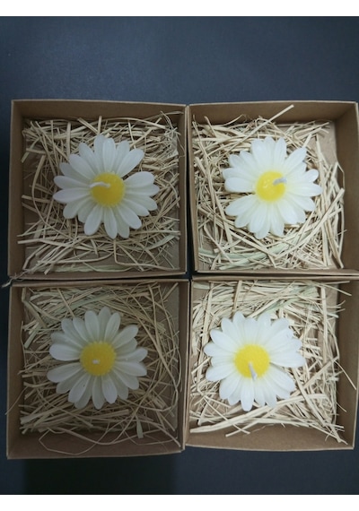 Bernami Mumluk Şamdanpinterest 20 Adet Süslemeli Kutulu Papatya Mum, Nikah Şekeri, Doğum, Bebek Mevlüdi, Baby Shower Diğer