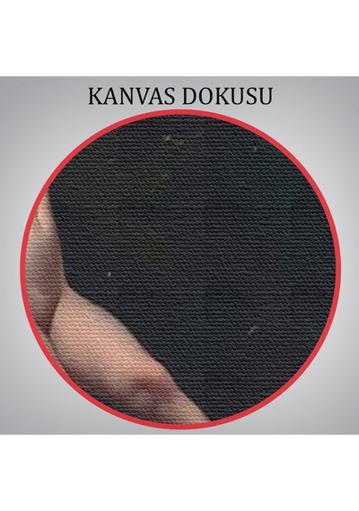 Yıldızlı Gökyüzü Altında Bir Peri Kanvas Tablo, Klasik Sanat Kanvas Tablo-5383
