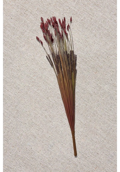 Pasabahce Grass 75 Cm Kırmızı - 1 Adet