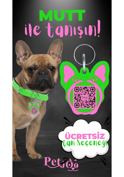 Petjoo 10.Mutt Pembe-Yeşil Qr'lı Köpek Künyesi