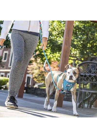 Tr Köpek Koşum Takımı Evcil Hayvan Yürüyüş Koşumu No Pull Harness Ön Klips Fonksiyonu Antrenman İçin Dahi Genel