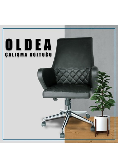 Oldea Siyah Çalışma Koltuğu Siyah