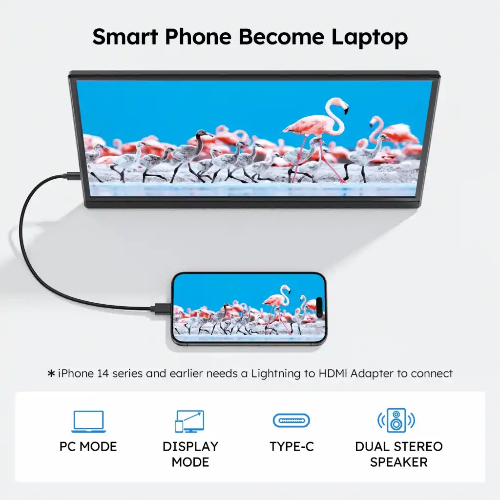Lineon 15.6" Full Hd 1080p Ips Portable Taşınabilir Monitör