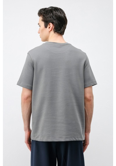 Antioch Regular Fit Basic Erkek T-shirt Füme