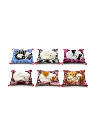 Yastıkta Uyuyan Kedi Sesli 01581337