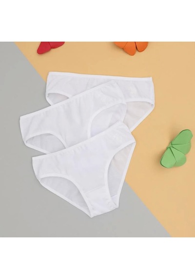 U.S. Polo Assn. U.s. Polo Kız Çocuk Slip Külot 1675 Beyaz Beyaz