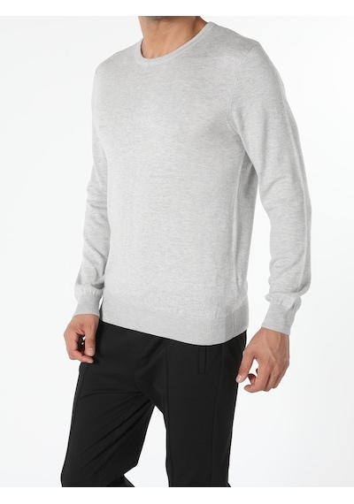 Colin's Regular Fit Bisiklet Yaka Erkek Gri Kazak CL1051445_Q1.V2_LGM