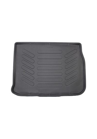Rizline Renault Scenic 2 2003-2009 3D Bagaj Havuzu