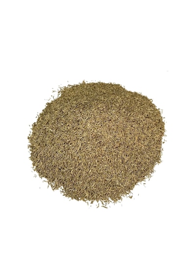 Çim Tohumu Yedili Karışım 250 Gr Tekli