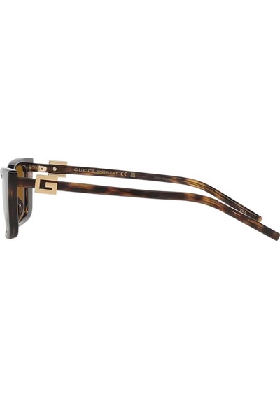 Gucci Gg 1681s 004 53 Kadın Cat Eye Kırçıllı Kahverengi Kemik Güneş Gözlüğü Kahverengi
