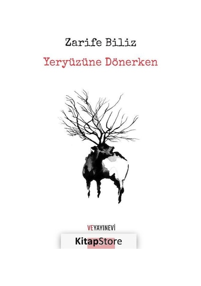 Yeryüzüne Dönerken - Zarife Biliz - Ve Yayınevi