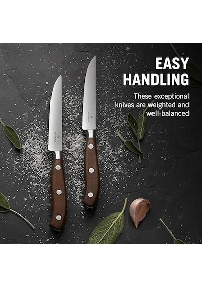 24 Parça Table Set Çok Renkli