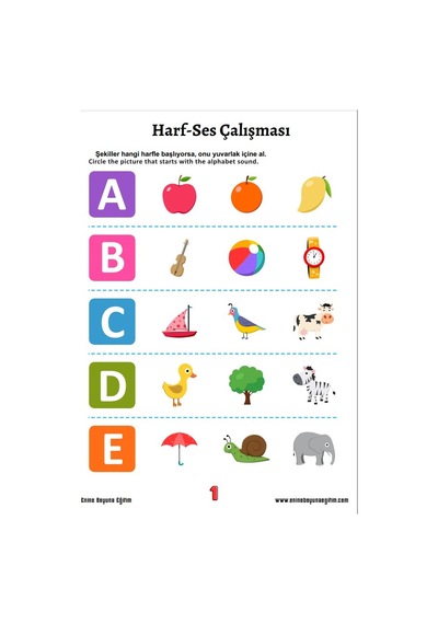 Çocuklar İçin İngilizce Eğitim Seti 3 Kitap + 15 Saat Anlatım