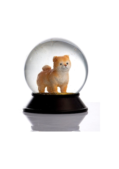 Cam Ve Reçine Altın Patiler Köpek Pomeranian Boo Kayısı Kar Küresi Hediye Diğer