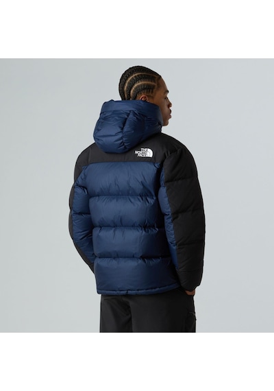 The North Face Kaz Tüyü Hmlyn Erkek Parka Nf0a4qyx92a1 Lacivert