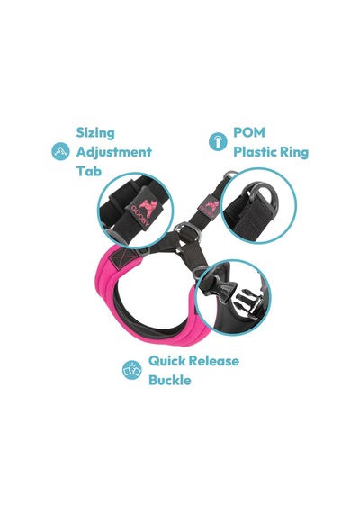 Escape Free Spor Yemek Takımı, Küçük Köpekler İçin, Neopren Yemek Takımlarından Kaçmayı Seven Köpekler İçin, Siyah, Beden L Çok Renkli