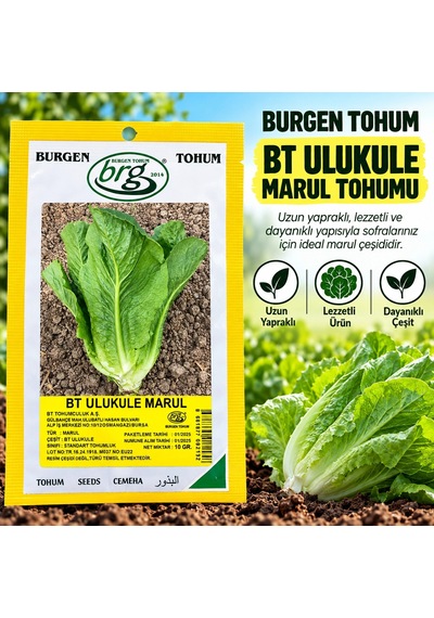 Bt Ulukule Marul Tohumu 10 Gr