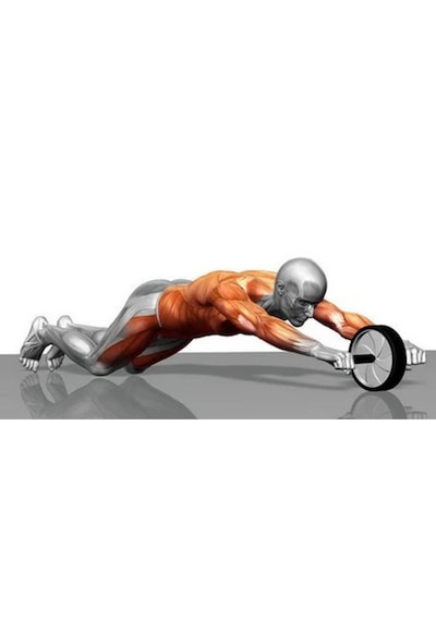 Delta Ab Wheel Karın Egzersiz Ve Fitness Tekerleği Siyah-beyaz