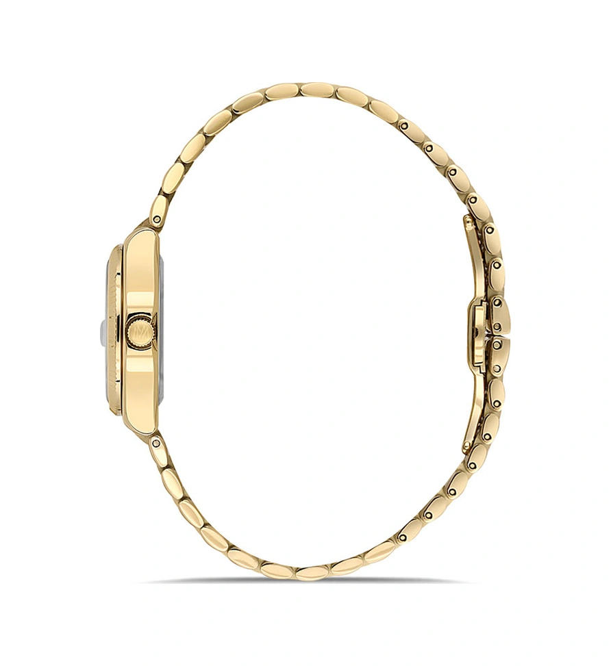 Momentus Cs262g-08sg Gold