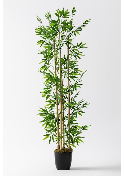 Yapay Bambu Ağacı 180 Cm Çok Renkli