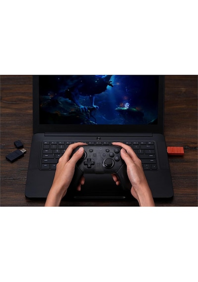 8bitdo Wireless Usb Adaptör V2 Switch, Windows, Mac & Raspberry P
