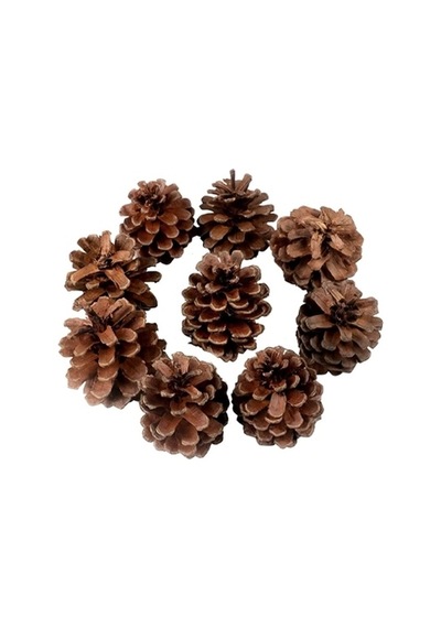 Dekoratif Çam Kozalak Süs 250gr
