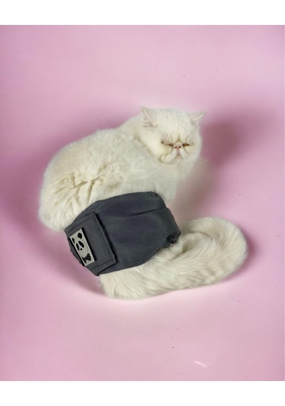 Kemique Kedi Çiş Bel Bandı Yıkanabilir Sızdırmaz Kedi Kıyafeti