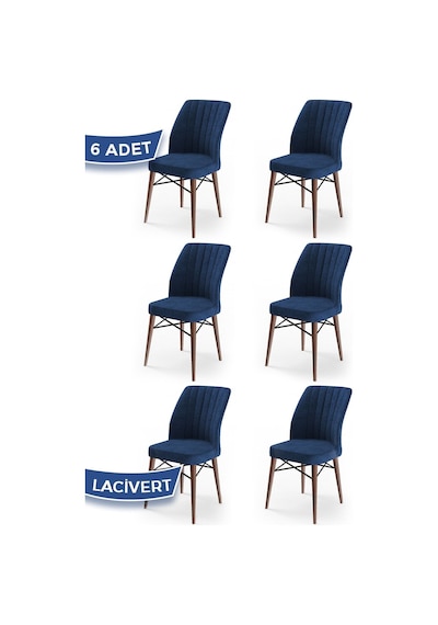 Canisa Concept Flex Serisi 6 Adet Lacivert Renk /gürgen Ayaklı 1.sınıf Sandalye/ceviz Gürgen Ayaklı Lajivert