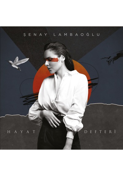Şenay Lambaoğlu Hayat Defteri - Plak