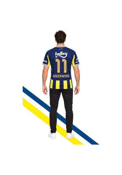Fenerium Fenerbahçe Lisanslı Greenwood Forması Uv Kutu Sarı-lacıvert Uv