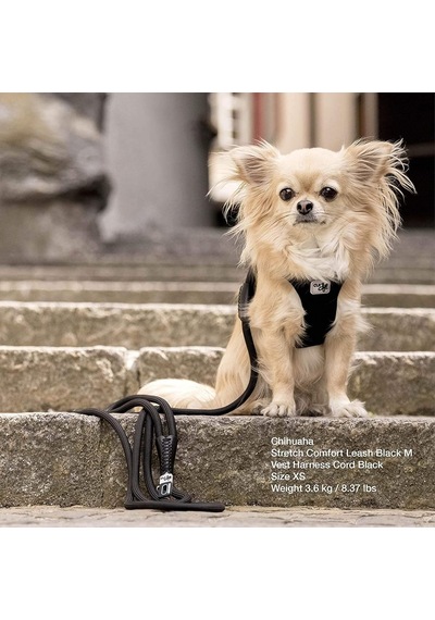 Curli Stretch Comfort Leash Light-tan M Genel