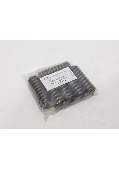 Gea 0006-3859-060 Seperatör Boyun Yatak Yayı 6 Adet