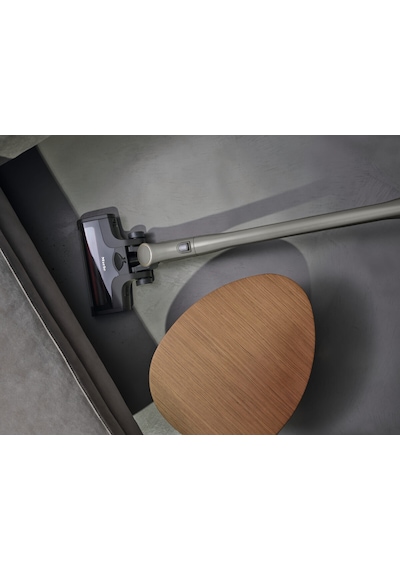 Triflex HX2 Performance Dikey Şarjlı Süpürge